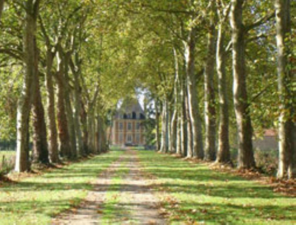 Château de Villars Villeneuve-sur-Allier Ngoại thất bức ảnh