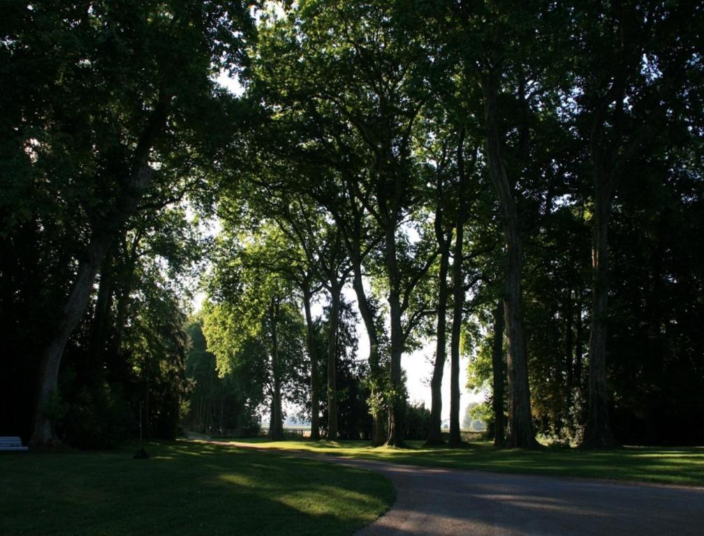 Château de Villars Villeneuve-sur-Allier Ngoại thất bức ảnh