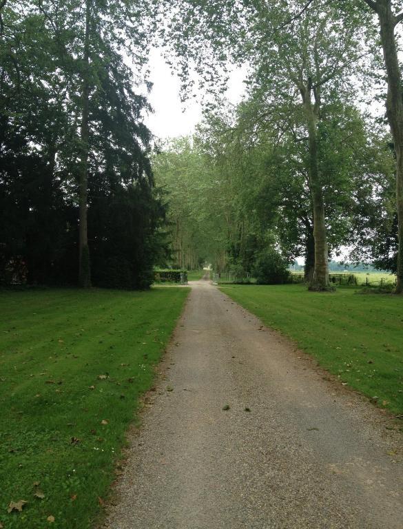 Château de Villars Villeneuve-sur-Allier Ngoại thất bức ảnh